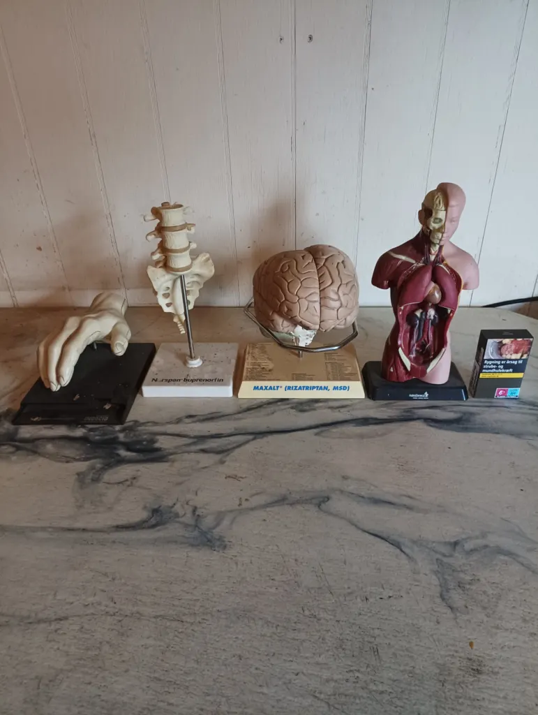 Anatomi figurer