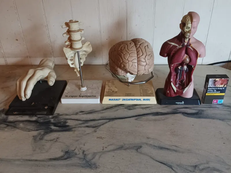 Anatomi figurer